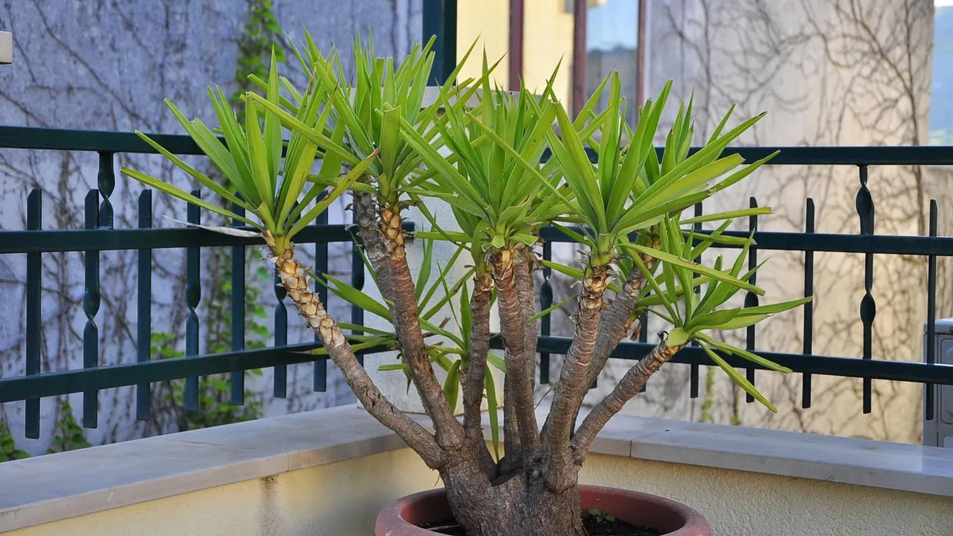 Villa Bakica Trogir